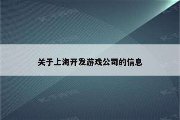 关于上海开发游戏公司的信息