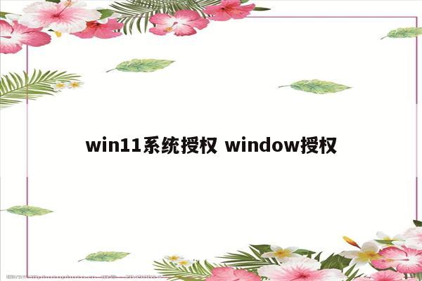 win11系统授权 window授权