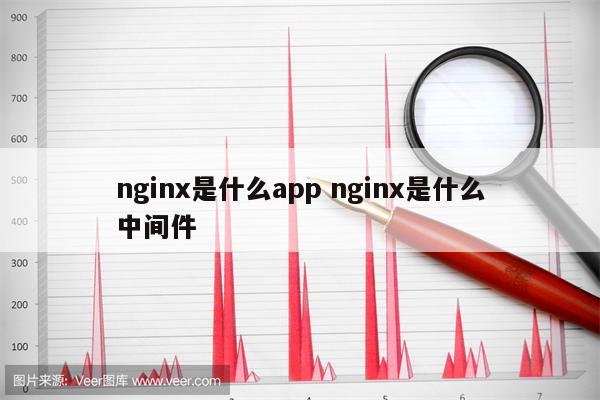 nginx是什么app nginx是什么中间件