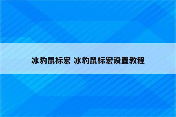 冰豹鼠标宏 冰豹鼠标宏设置教程