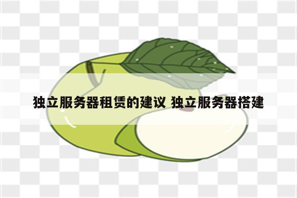 独立服务器租赁的建议 独立服务器搭建