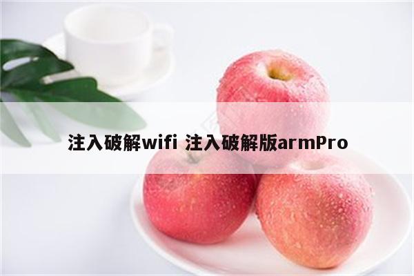 注入破解wifi 注入破解版armPro