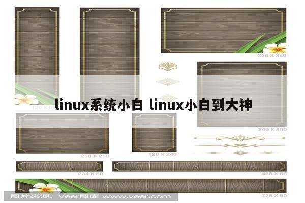 linux系统小白 linux小白到大神