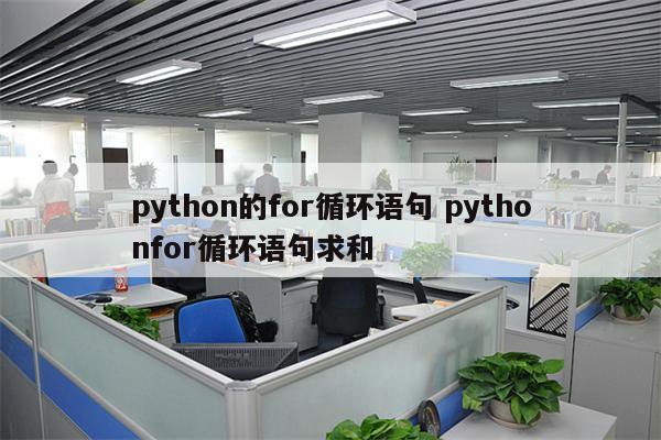python的for循环语句 pythonfor循环语句求和