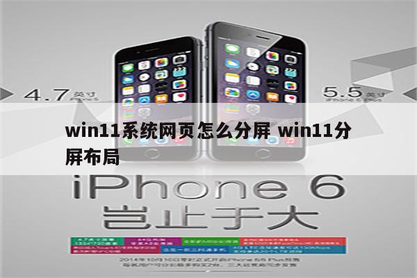 win11系统网页怎么分屏 win11分屏布局
