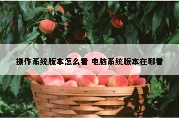 操作系统版本怎么看 电脑系统版本在哪看