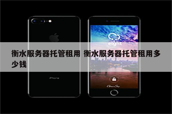 衡水服务器托管租用 衡水服务器托管租用多少钱