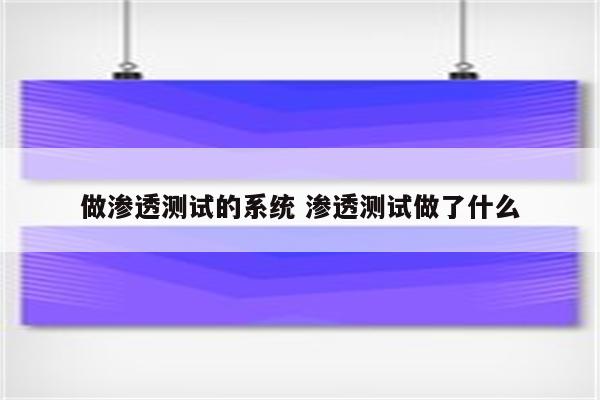 做渗透测试的系统 渗透测试做了什么