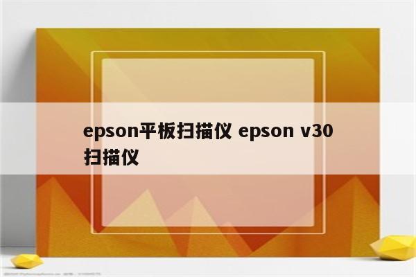 epson平板扫描仪 epson v30扫描仪