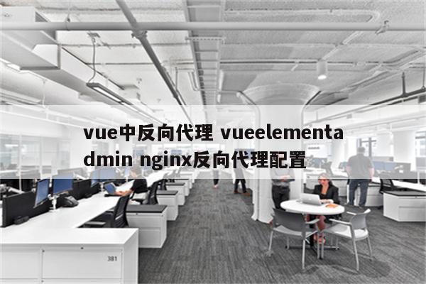vue中反向代理 vueelementadmin nginx反向代理配置