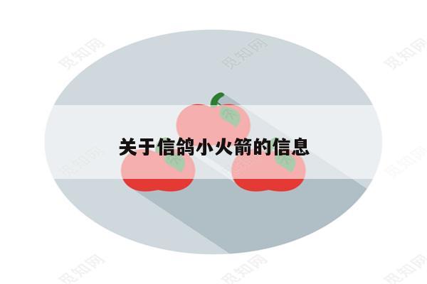 关于信鸽小火箭的信息