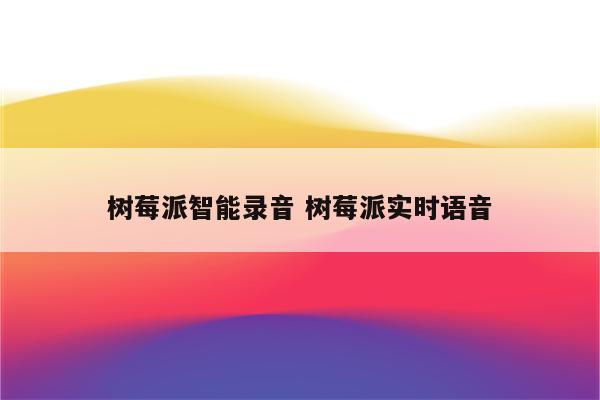 树莓派智能录音 树莓派实时语音