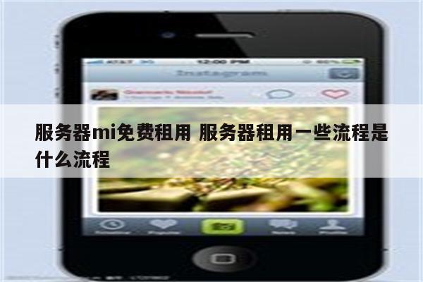 服务器mi免费租用 服务器租用一些流程是什么流程