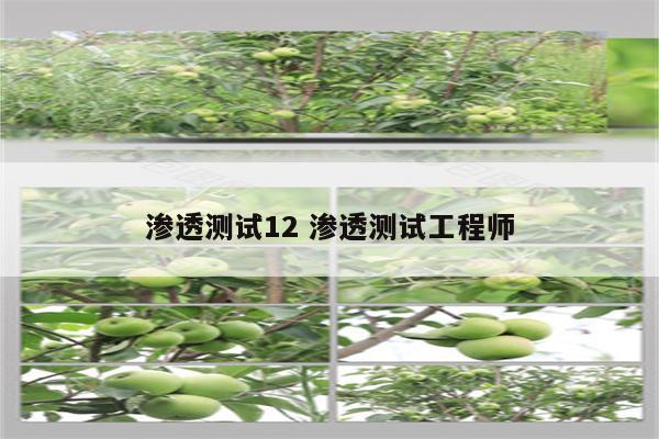 渗透测试12 渗透测试工程师