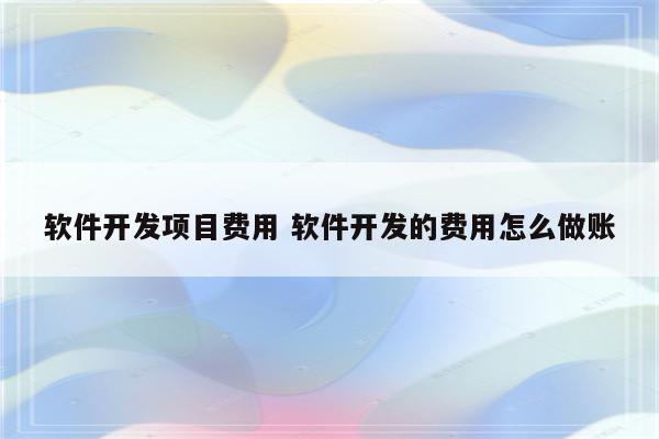 软件开发项目费用 软件开发的费用怎么做账