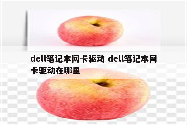 dell笔记本网卡驱动 dell笔记本网卡驱动在哪里