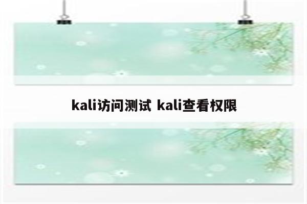 kali访问测试 kali查看权限