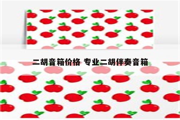 二胡音箱价格 专业二胡伴奏音箱