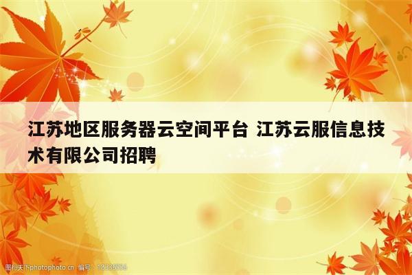 江苏地区服务器云空间平台 江苏云服信息技术有限公司招聘