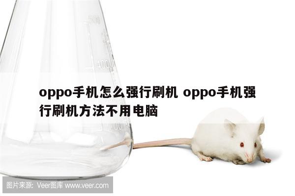 oppo手机怎么强行刷机 oppo手机强行刷机方法不用电脑