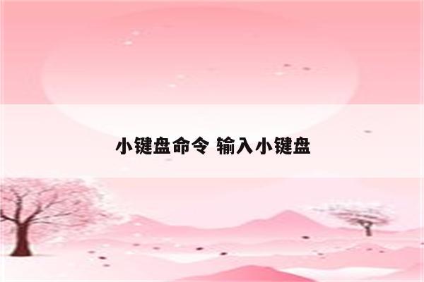 小键盘命令 输入小键盘