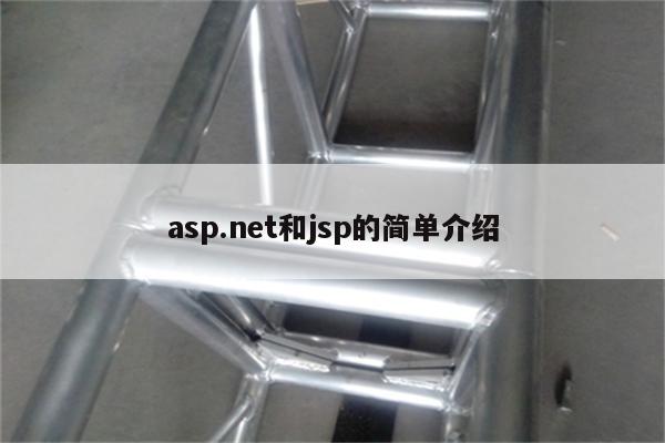 asp.net和jsp的简单介绍