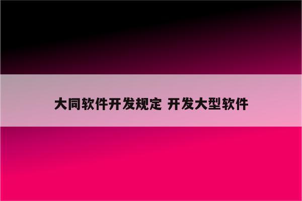 大同软件开发规定 开发大型软件