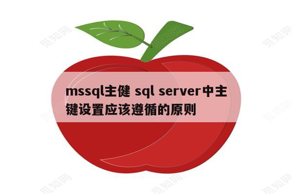 mssql主健 sql server中主键设置应该遵循的原则