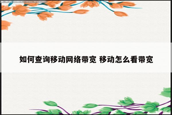 如何查询移动网络带宽 移动怎么看带宽