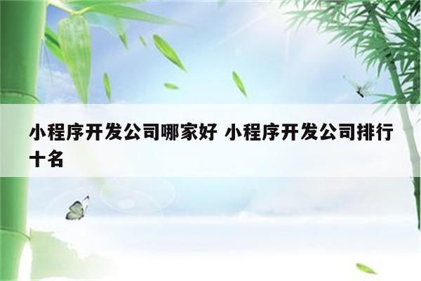 小程序开发公司哪家好 小程序开发公司排行十名