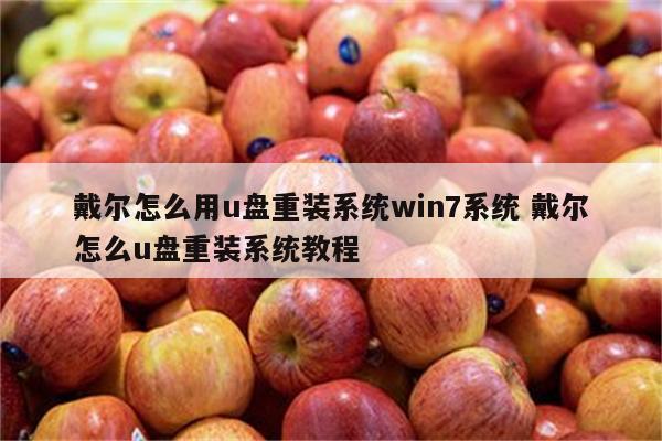 戴尔怎么用u盘重装系统win7系统 戴尔怎么u盘重装系统教程