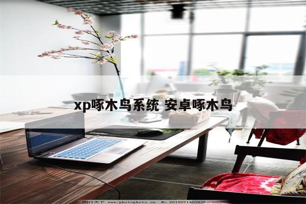 xp啄木鸟系统 安卓啄木鸟