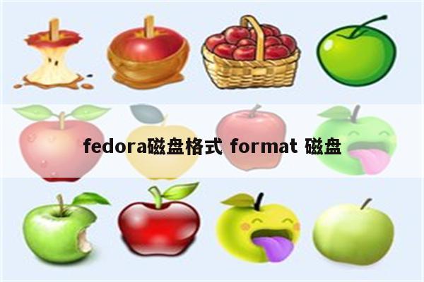 fedora磁盘格式 format 磁盘