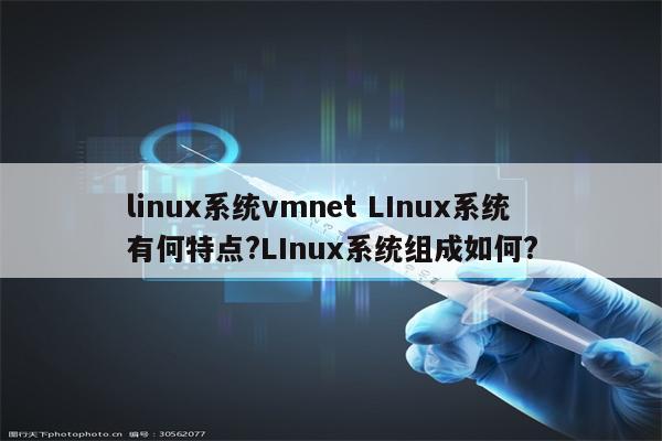 linux系统vmnet LInux系统有何特点?LInux系统组成如何?