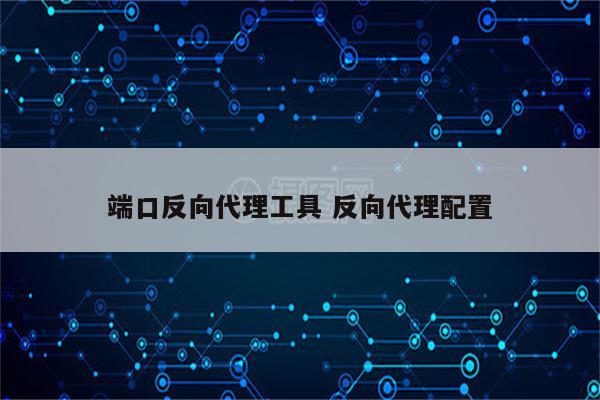 端口反向代理工具 反向代理配置