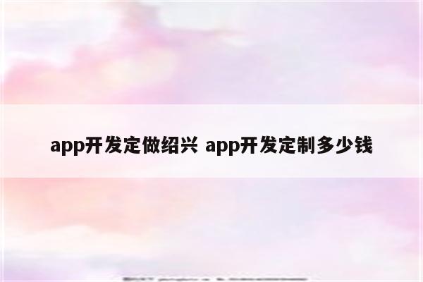 app开发定做绍兴 app开发定制多少钱