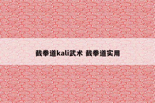 截拳道kali武术 截拳道实用