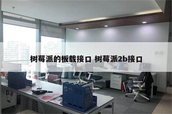 树莓派的板载接口 树莓派2b接口