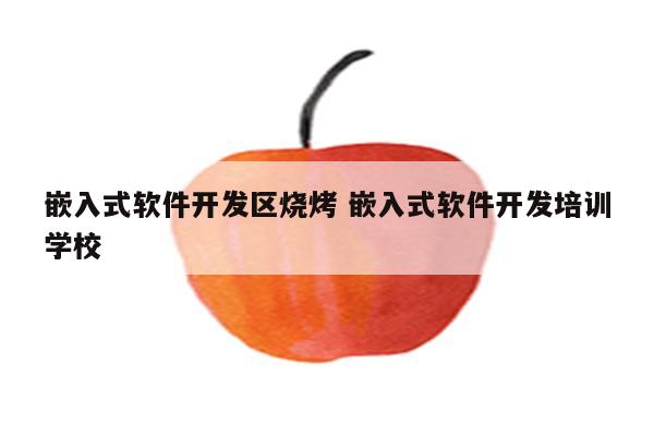 嵌入式软件开发区烧烤 嵌入式软件开发培训学校