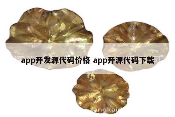 app开发源代码价格 app开源代码下载