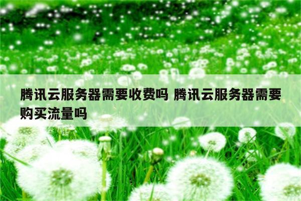 腾讯云服务器需要收费吗 腾讯云服务器需要购买流量吗