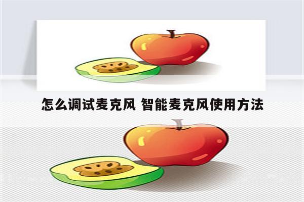 怎么调试麦克风 智能麦克风使用方法