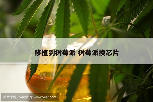 移植到树莓派 树莓派换芯片
