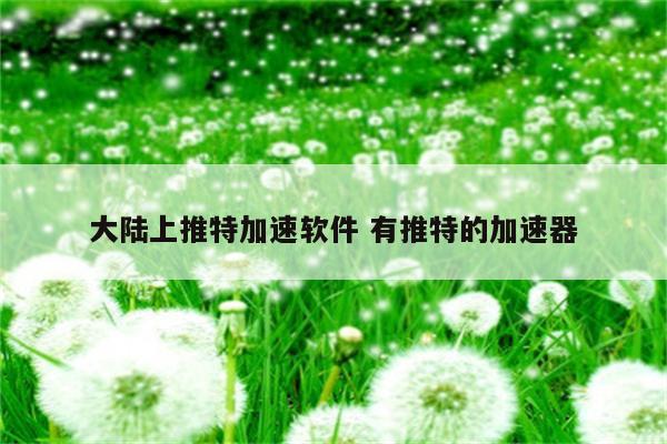 大陆上推特加速软件 有推特的加速器