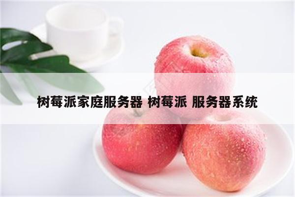 树莓派家庭服务器 树莓派 服务器系统