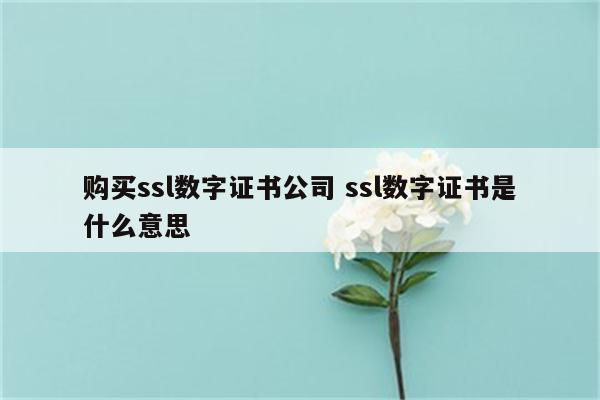 购买ssl数字证书公司 ssl数字证书是什么意思