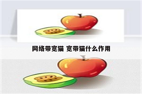 网络带宽猫 宽带猫什么作用