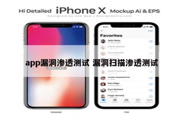 app漏洞渗透测试 漏洞扫描渗透测试