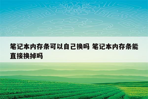 笔记本内存条可以自己换吗 笔记本内存条能直接换掉吗