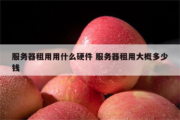 服务器租用用什么硬件 服务器租用大概多少钱